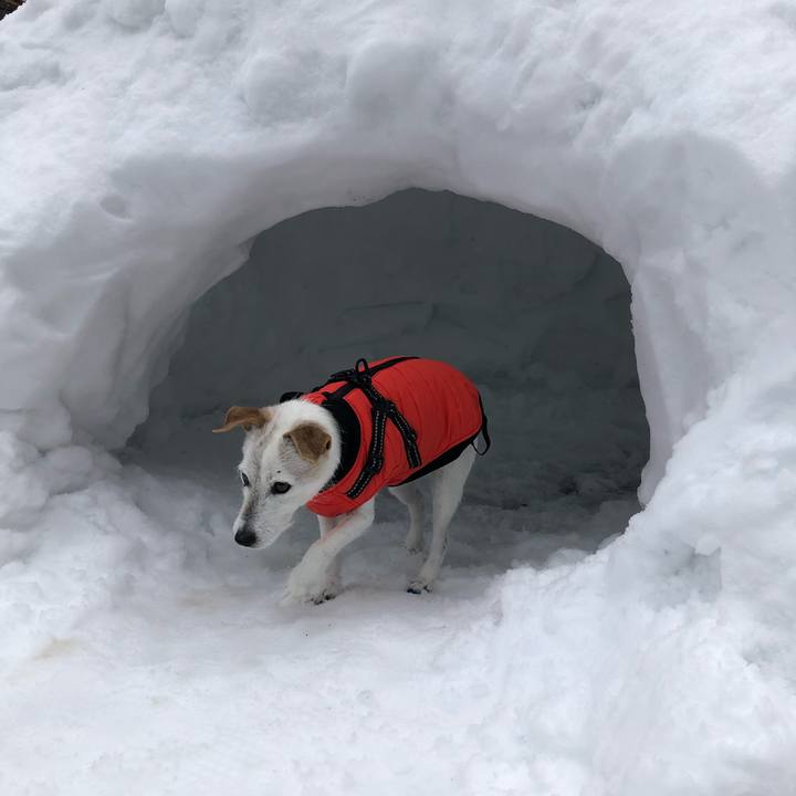 F9696c95 1185 45bb a136 66268f7eb495 1641615268116