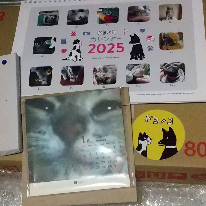 F969834e c5ce 49f6 a9ea 1624f7bf4dc2 1733228149387