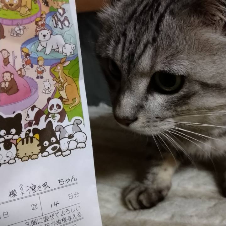 F96988d7 acf8 419b 971a bf892719fa16 1635500730929