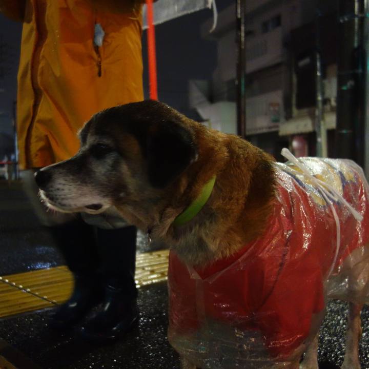 F969a69b 9a00 4777 b0b0 5cb9a6452cd5 1574501056533