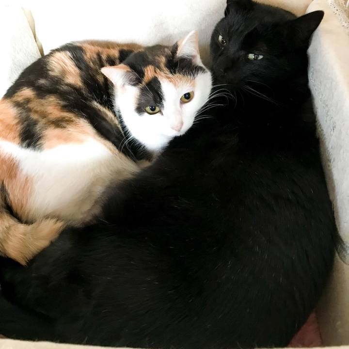 F969ceb9 0d30 4308 b25e 4259b2b4fab8 1518533194928