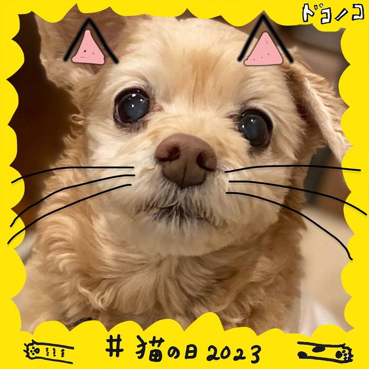 F969ffd9 553a 4f3b b0b5 03a4202dced7 1677055011809