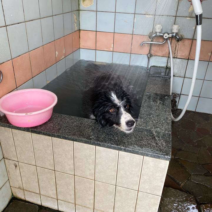 F96a08a3 ca0a 40d2 b566 100fdfef8210 1695439857489