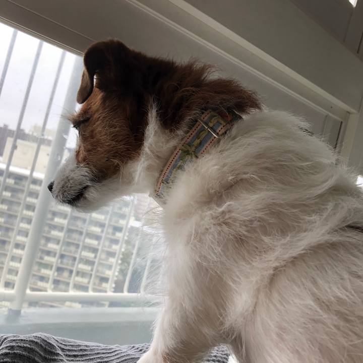 F96a12cb c09d 4ccc 8a8a f1a9cfda9ae0 1585458209747