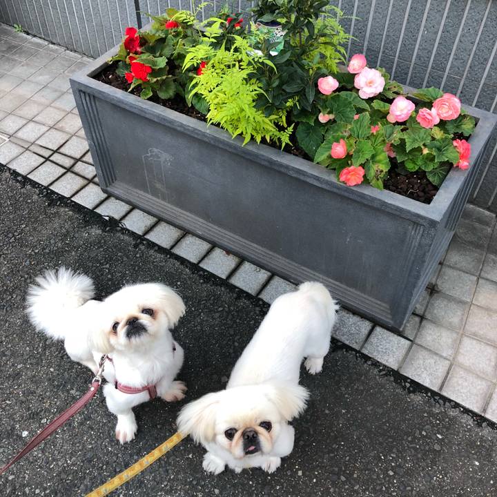 F96a2dcb ef1a 402a a6ec 9e0dc1a18b3e 1538086259555