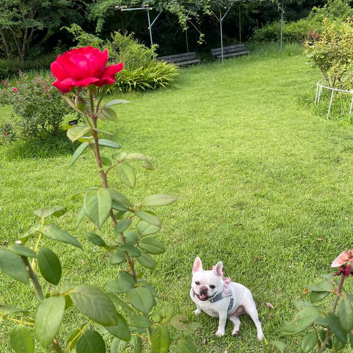 F96a95a2 40b3 4ce8 b0c3 17fe012eb1cc 1753175615097