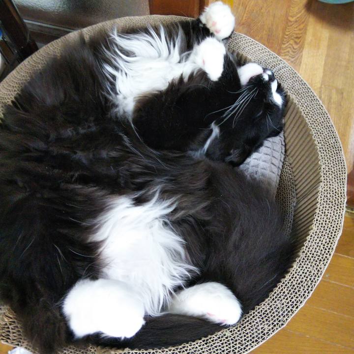 F96a96ca 3af0 474f bab9 64852628bb3c 1651840014025