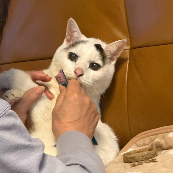 F96a9a4c 3bb2 48c8 9627 c0a059cd06e8 1769906934019