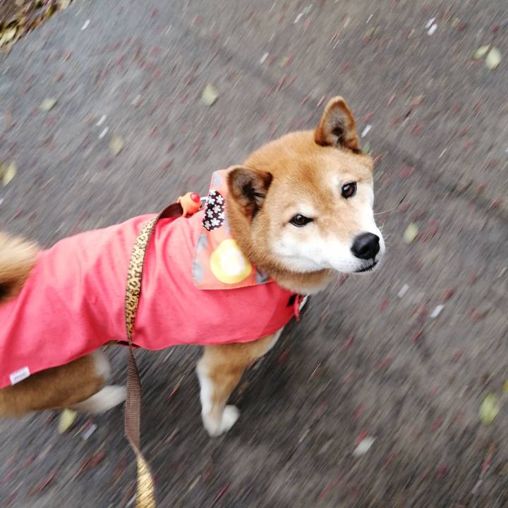 F96aebe0 a764 4c78 8024 a96201235540 1586757027529