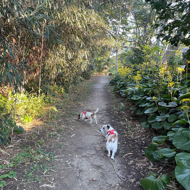 F96b1719 6b59 4240 99fa c9e5ff8edd44 1666655754273