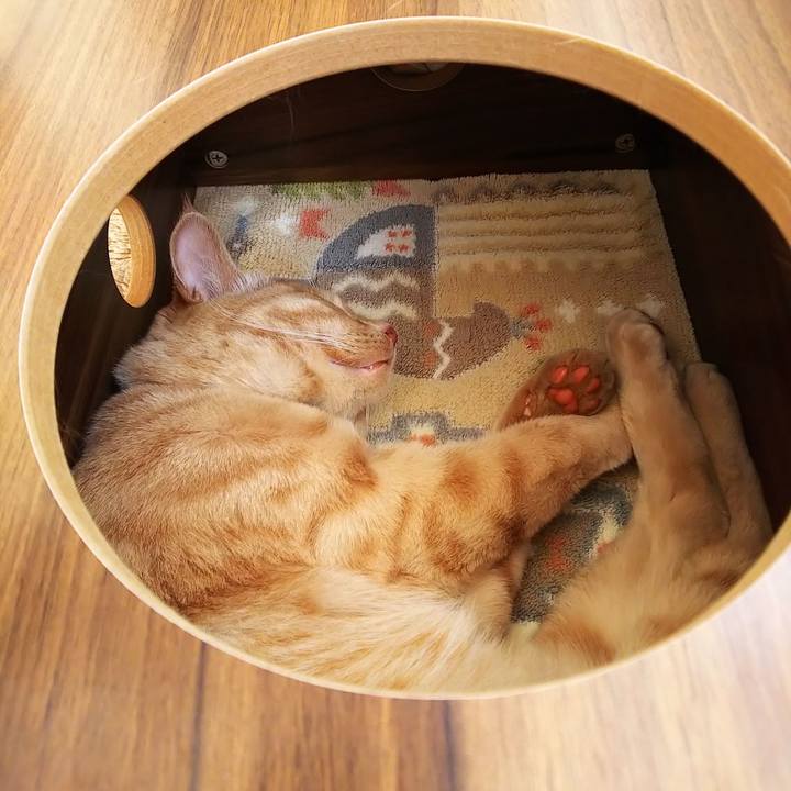 F96b31d4 e617 4c9d 972b 4bdba361bfe8 1562476818597