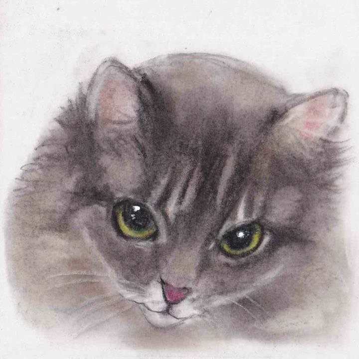 F96b5a67 7a0c 472c a740 bb1df4e27d18 1660142200147