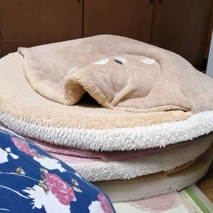 F96b6719 f271 4e9d a7a8 020d7b29f829 1644158178755