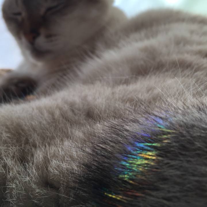 F96bb632 e3b9 469b bc59 c56fc8598bd5 1540011731515