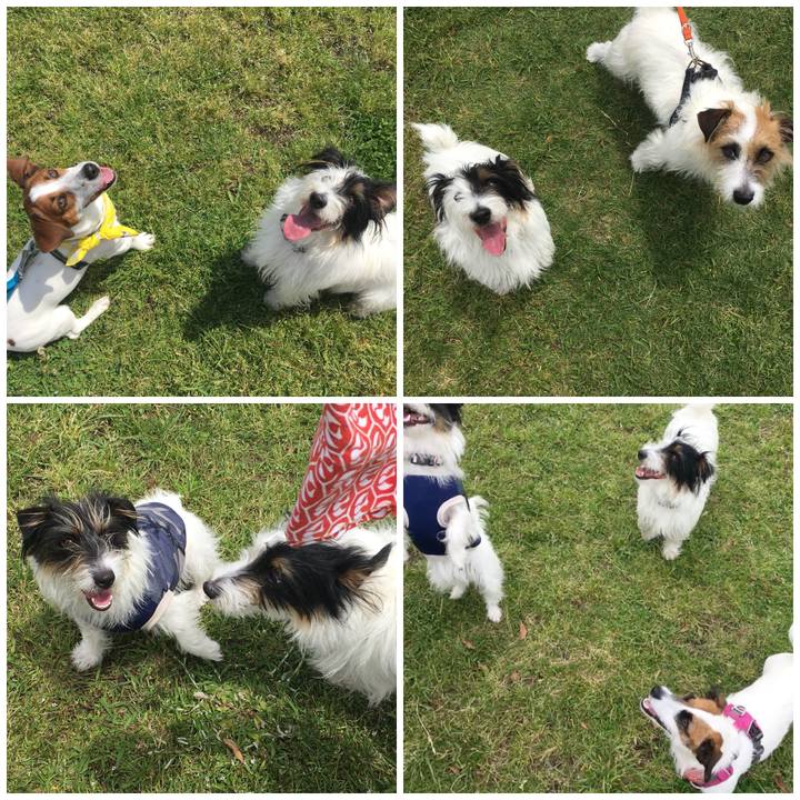 F96bfd73 0389 4657 9091 e700acdcfa3a 1526122989945