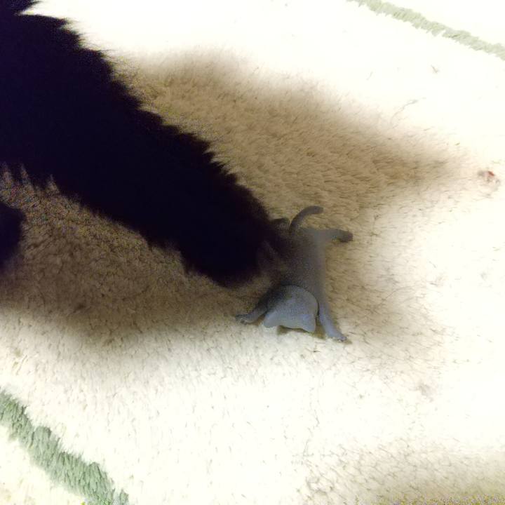 F96c78bf deb8 43be ade4 9a0a4be297de 1609111907428