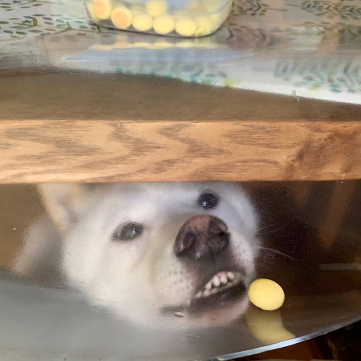 F96c83e8 6ce9 4c95 985e eaa77e28891b 1561671559094