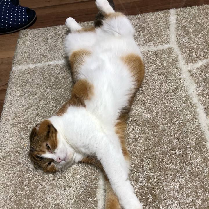 F96cabc8 bb79 48e2 a45f 1201acbdb922 1540732143489