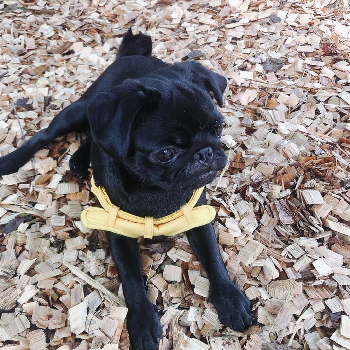 F96cb1c6 e277 4650 aaf8 715a2df83dc7 1597047739148