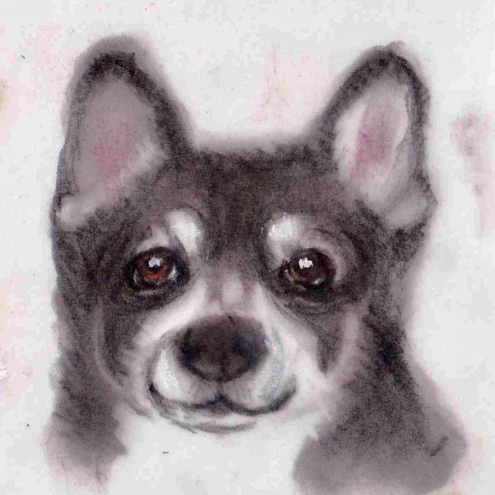 F96ccd37 b3fb 4328 8040 2eb03fef259e 1634697550965