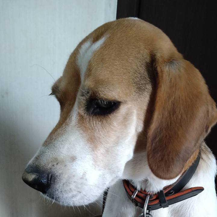 F96cde32 2a24 4617 87dc 9e237837c176 1662371930014