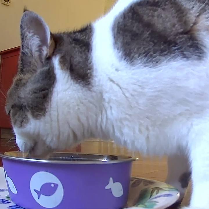 F96cefff bc76 44cb a633 181fe1c1839b 1769553228540