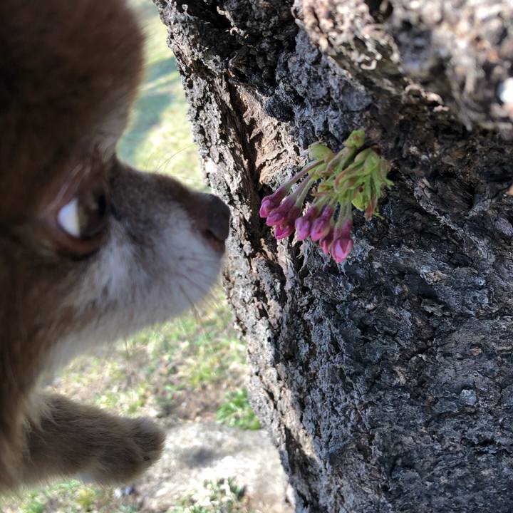 F96cf61c cec3 4bfc ae7c 9e090239847b 1618202797475