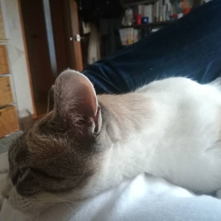 F96d1c43 412e 4704 b848 0f0755728c9f 1561887003315