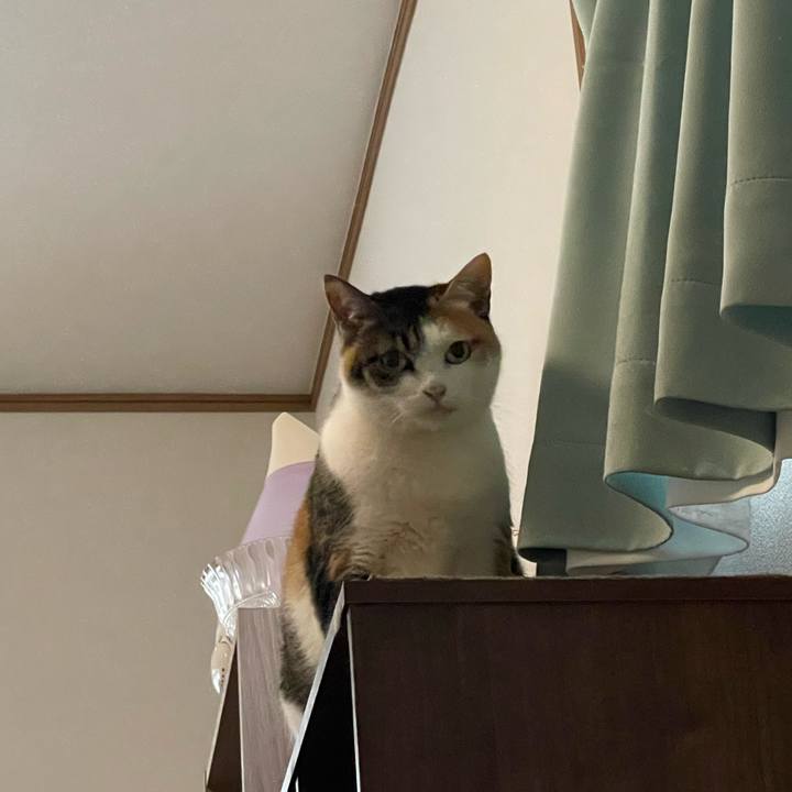 F96d2636 fdf7 43b1 95b2 a92e88d18bea 1678674996779