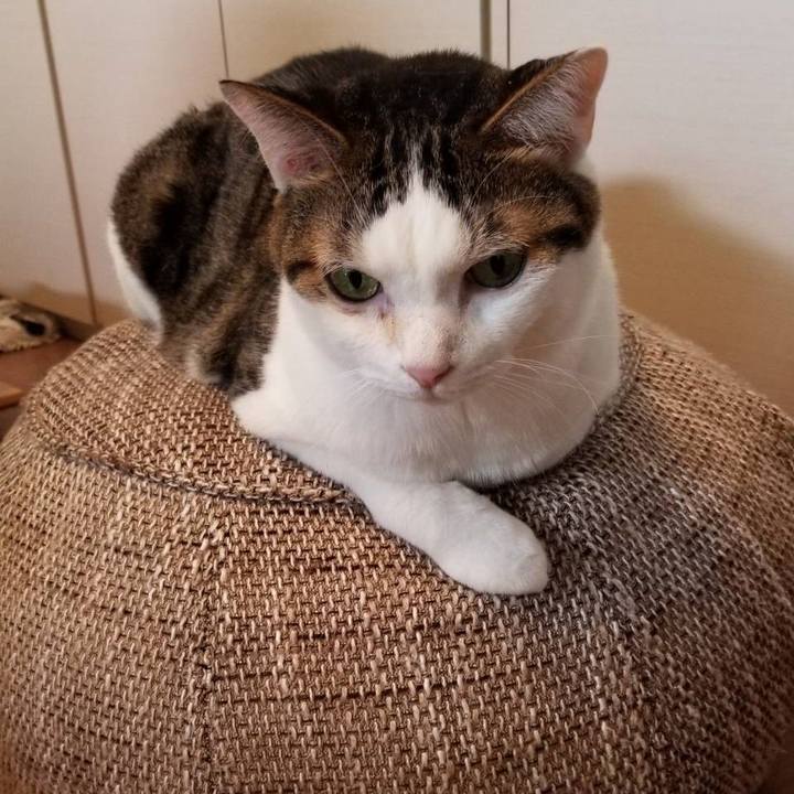 F96d2dad eeb7 4698 945b 09efb86cb504 1601773152444