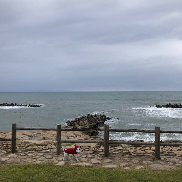 F96d31ac 9570 4e1c b18b 88ba885baeb0 1602719457888