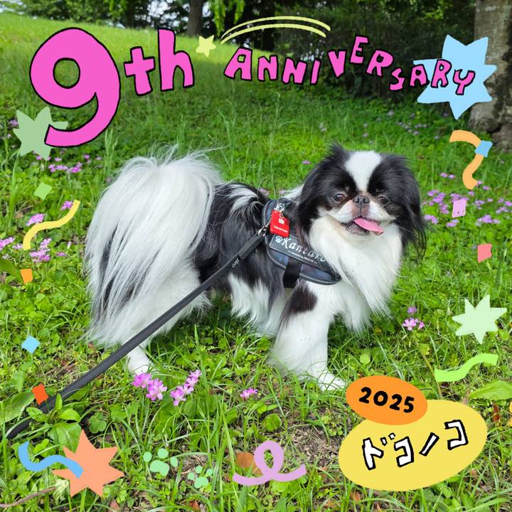 F96d4933 aa55 42f2 8957 e26ca4185161 1749120956408