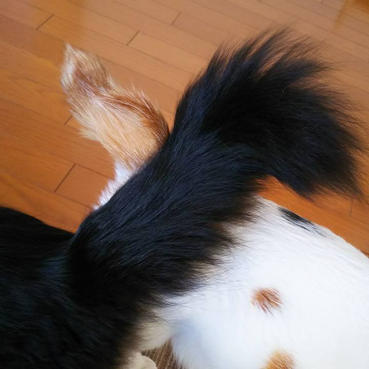 F96d4ce4 0b0a 43fe 9679 3e9271486bd9 1516836007885