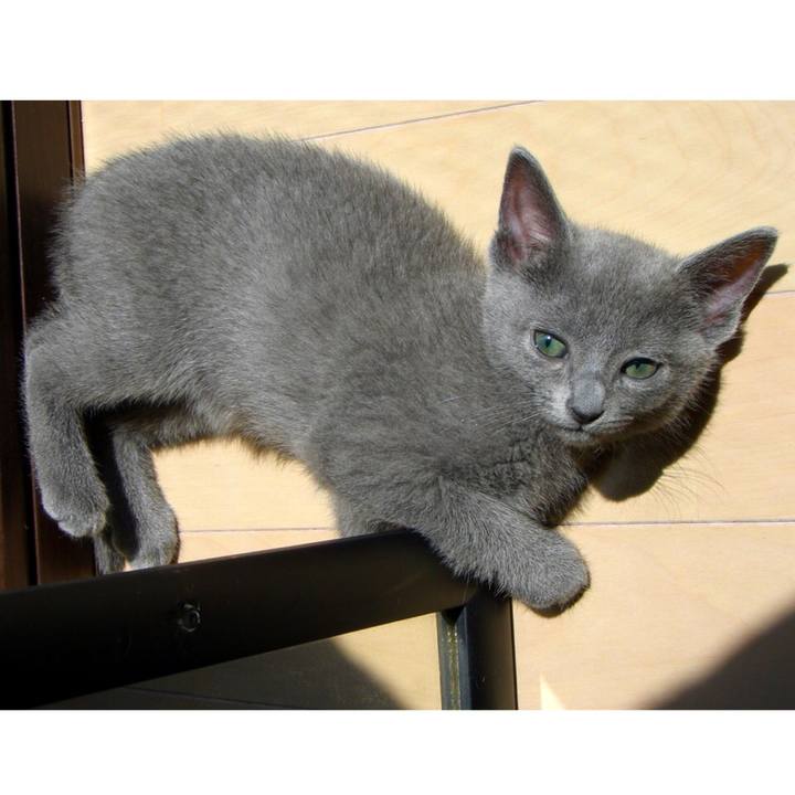 F96d6404 907a 4814 a459 e272262b5334 1531055057336