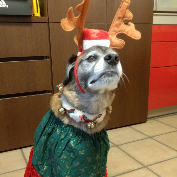 F96d7602 2d64 48d8 81a7 ae8e886a1d76 1513676802302