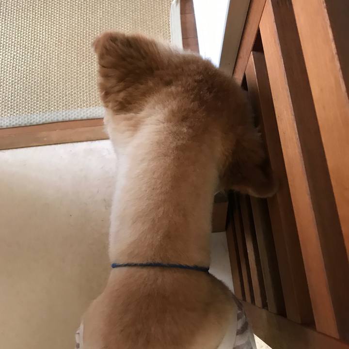 F96d8847 958b 493a 9a01 772e5c34b52f 1595399075689