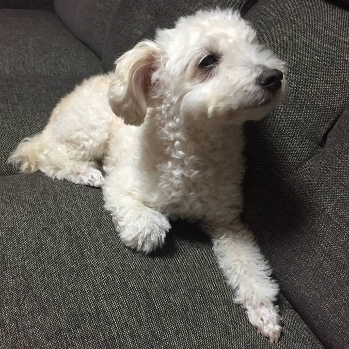 F96de84c 4acd 4b9a ada1 a6ef550afcdc 1516625867988