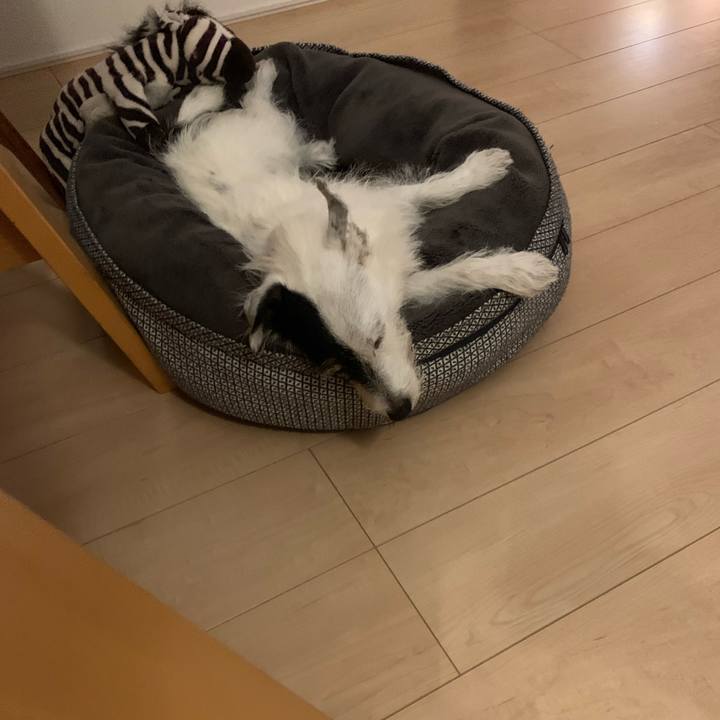 F96de976 69cc 4ae6 b146 4715c65c527c 1729336517874