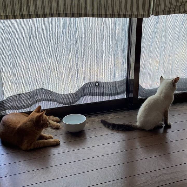 F96dee04 1a61 4ef6 a8db e18573feb240 1729113811230