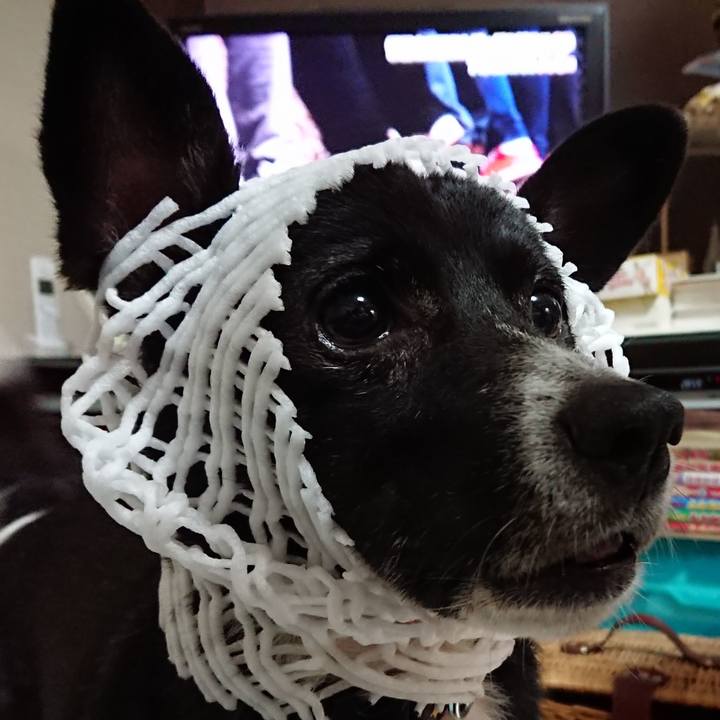 F96e01fa 44d1 432a 8370 c03a75778982 1532261656036