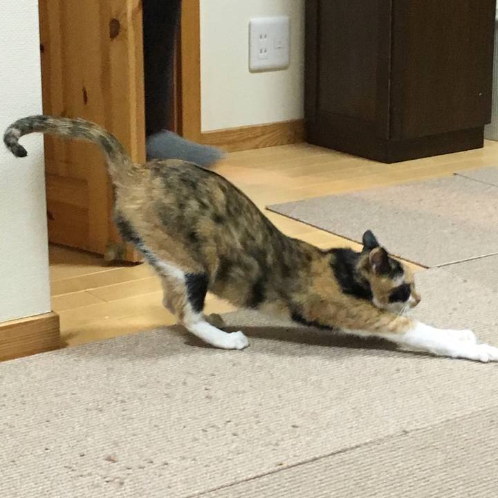 F96e4c12 e612 4afa a7fc 0b188c145b86 1519825704890