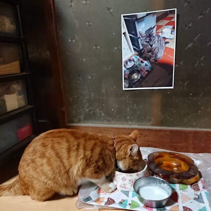 F96e5984 4abb 48e3 9968 2906344c964b 1602276997168