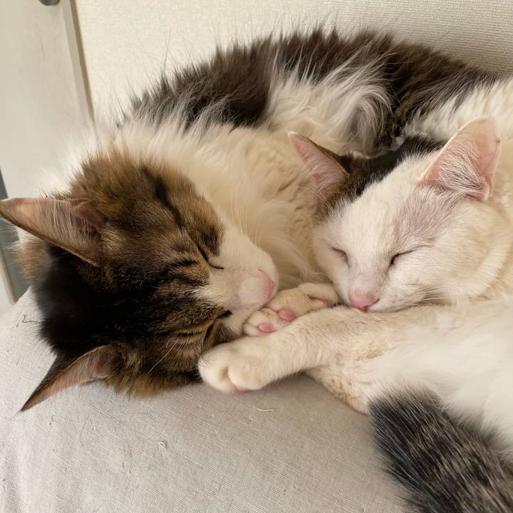 F96e7278 c07b 4038 881c 57d421aa7440 1672615350247