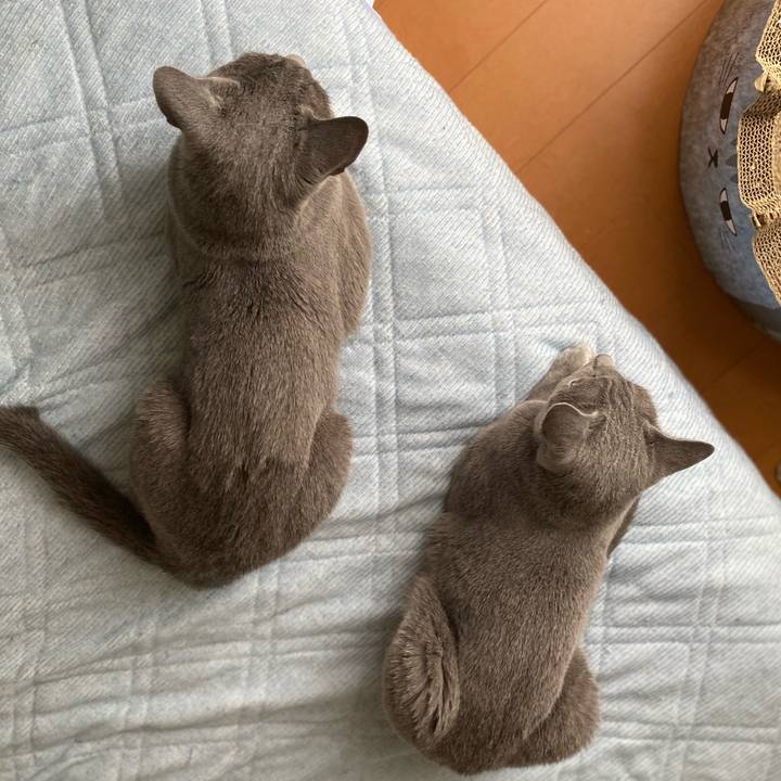 F96e89d8 d44f 4f99 84dd 3c956c2ac9a7 1686806285393