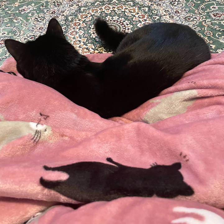 F96eb8de 4895 4c2f a397 244748db465c 1673939835218