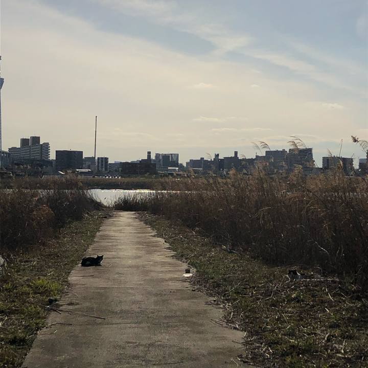 F96ed076 f758 43cf 8b28 504847e1ef44 1583134378849