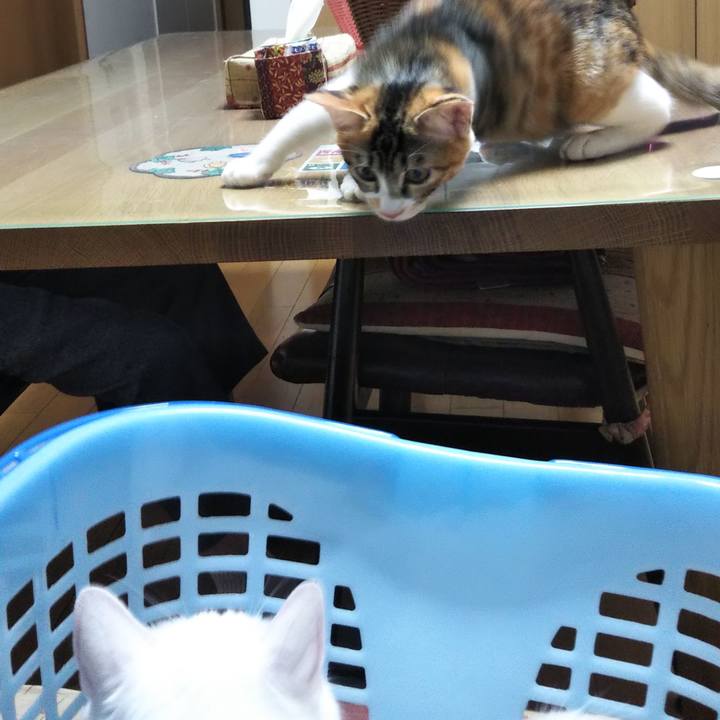 F96f0812 55cc 4dfd 810d c319b31d0bfd 1629629070284