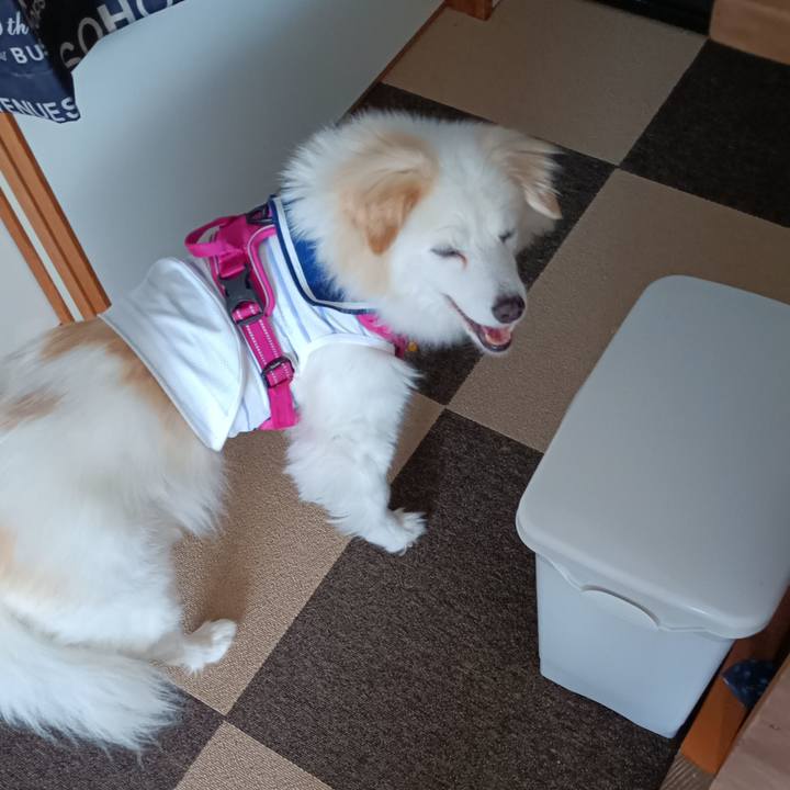 F96f0d91 c846 4b22 a40e 21b3c14ac70a 1721361049740