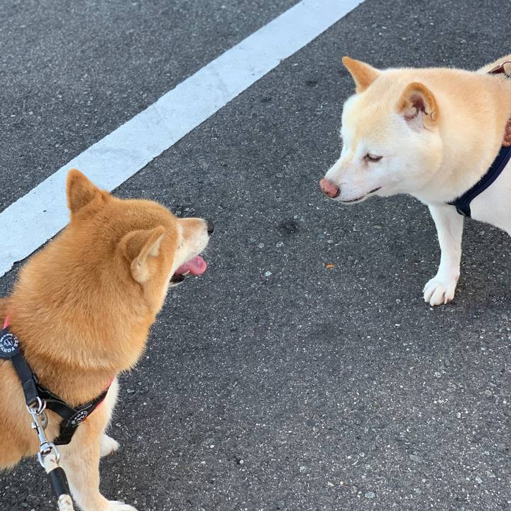 F96f7e09 724c 4a04 8d3e b646bfdb80ef 1598565590144