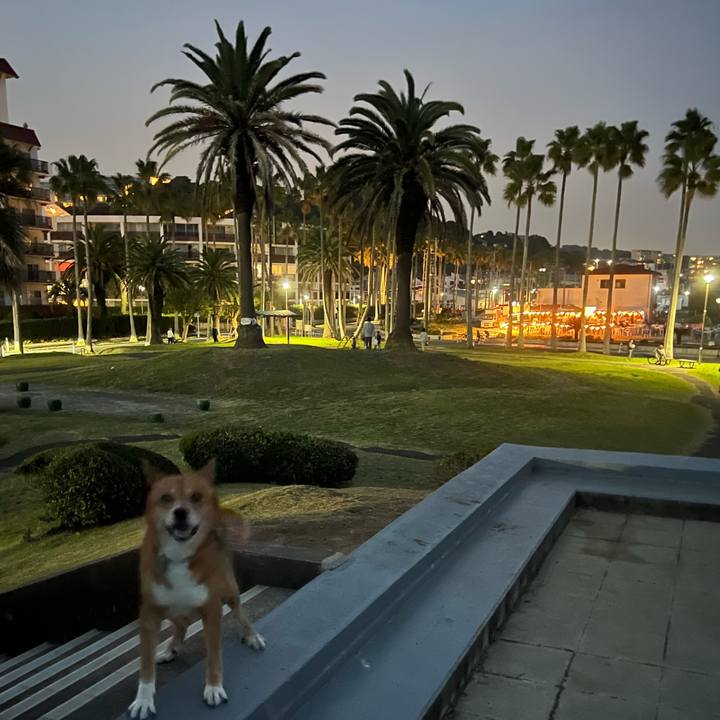 F96fee4c 5a78 4f0b a7e2 6ce3567b528f 1699087469404